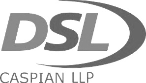 DSL_Logo_1-removebg-preview копия